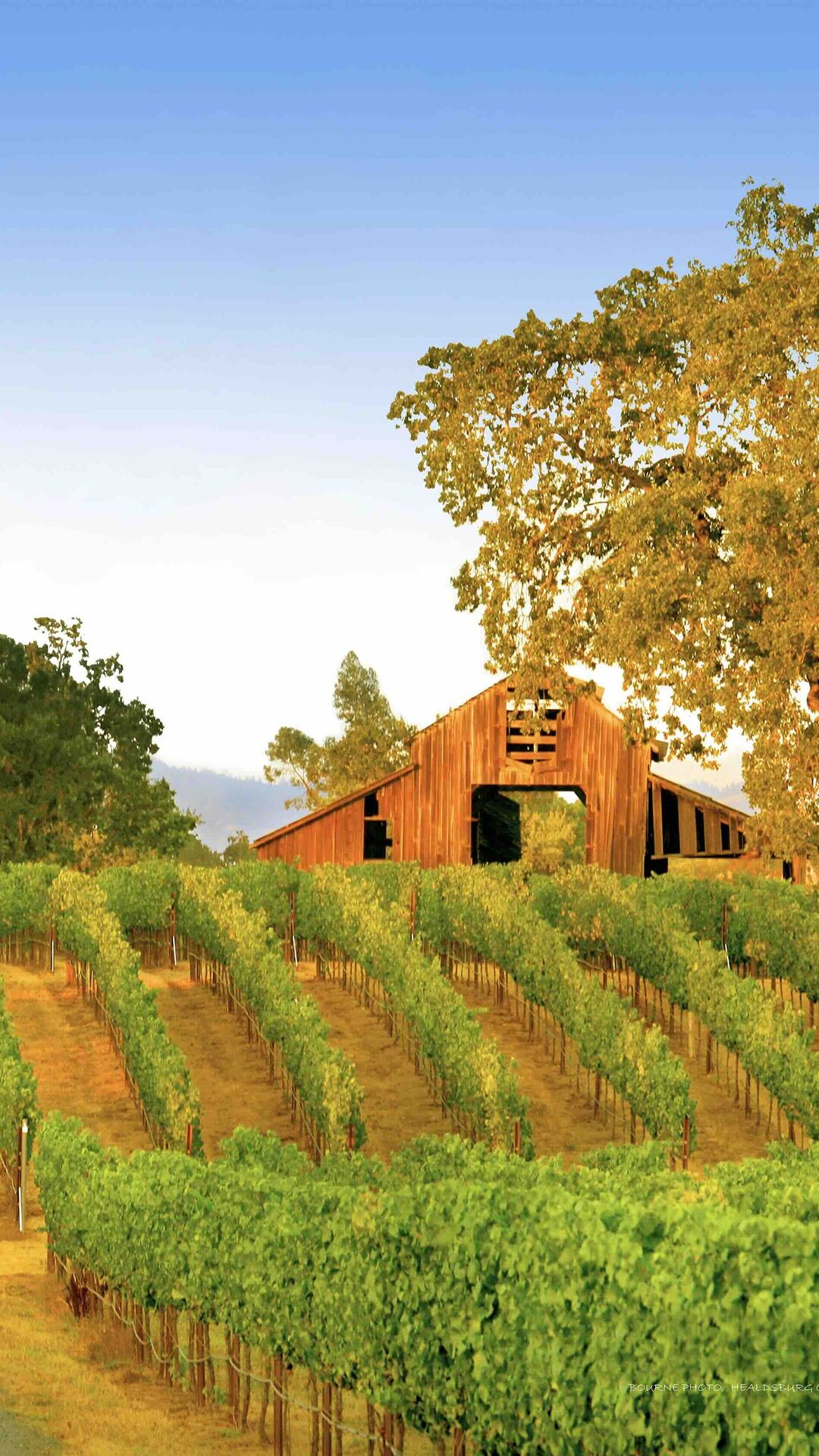 iPhone Photography Workshop