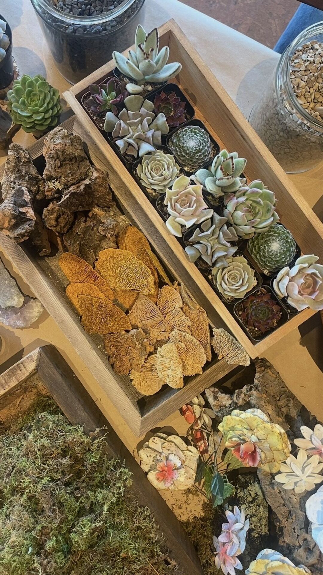 Fairy Garden Terrarium