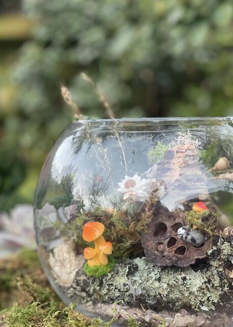 Fairy Garden Terrarium