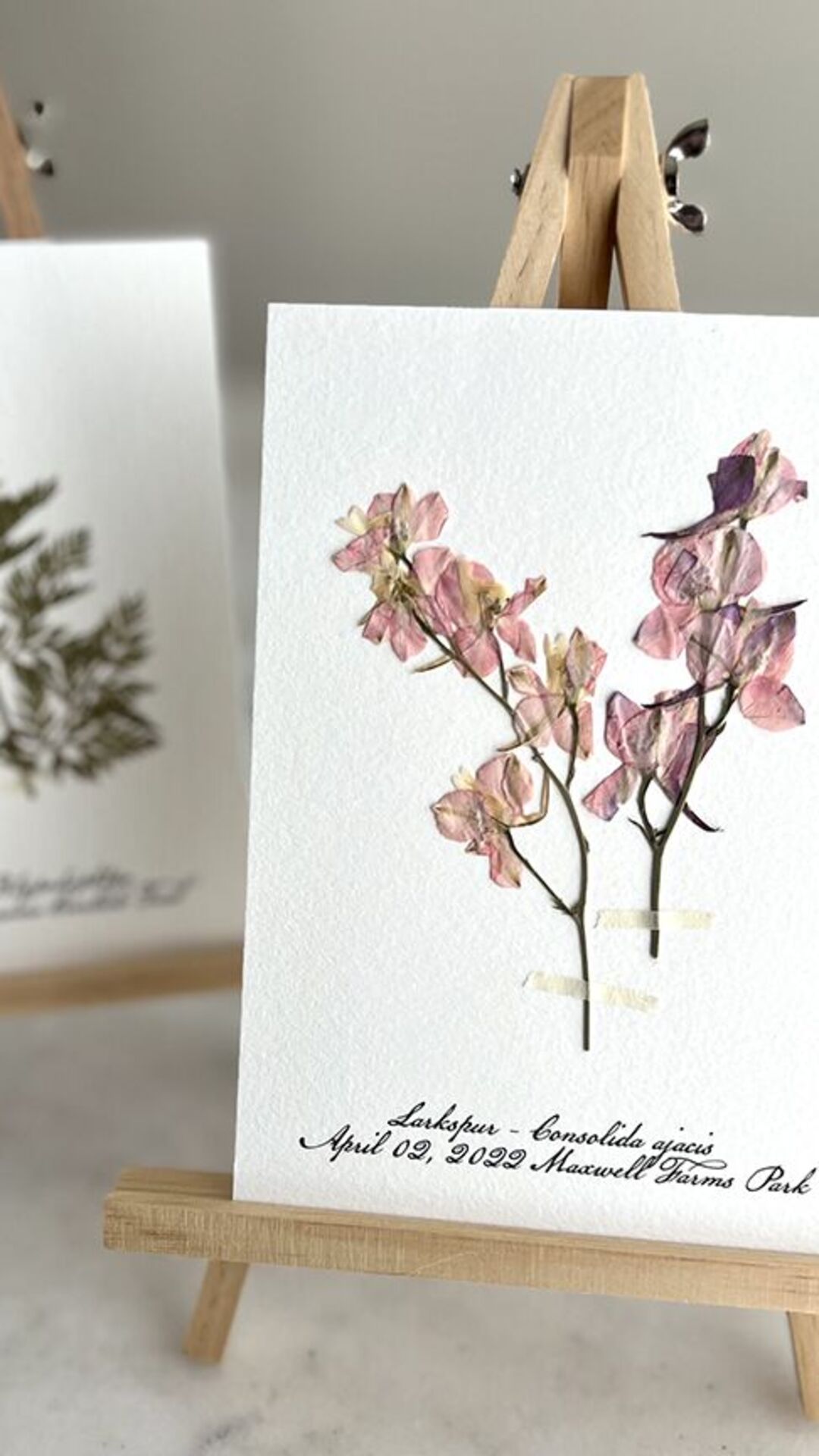 Pressed Flowers Workshop