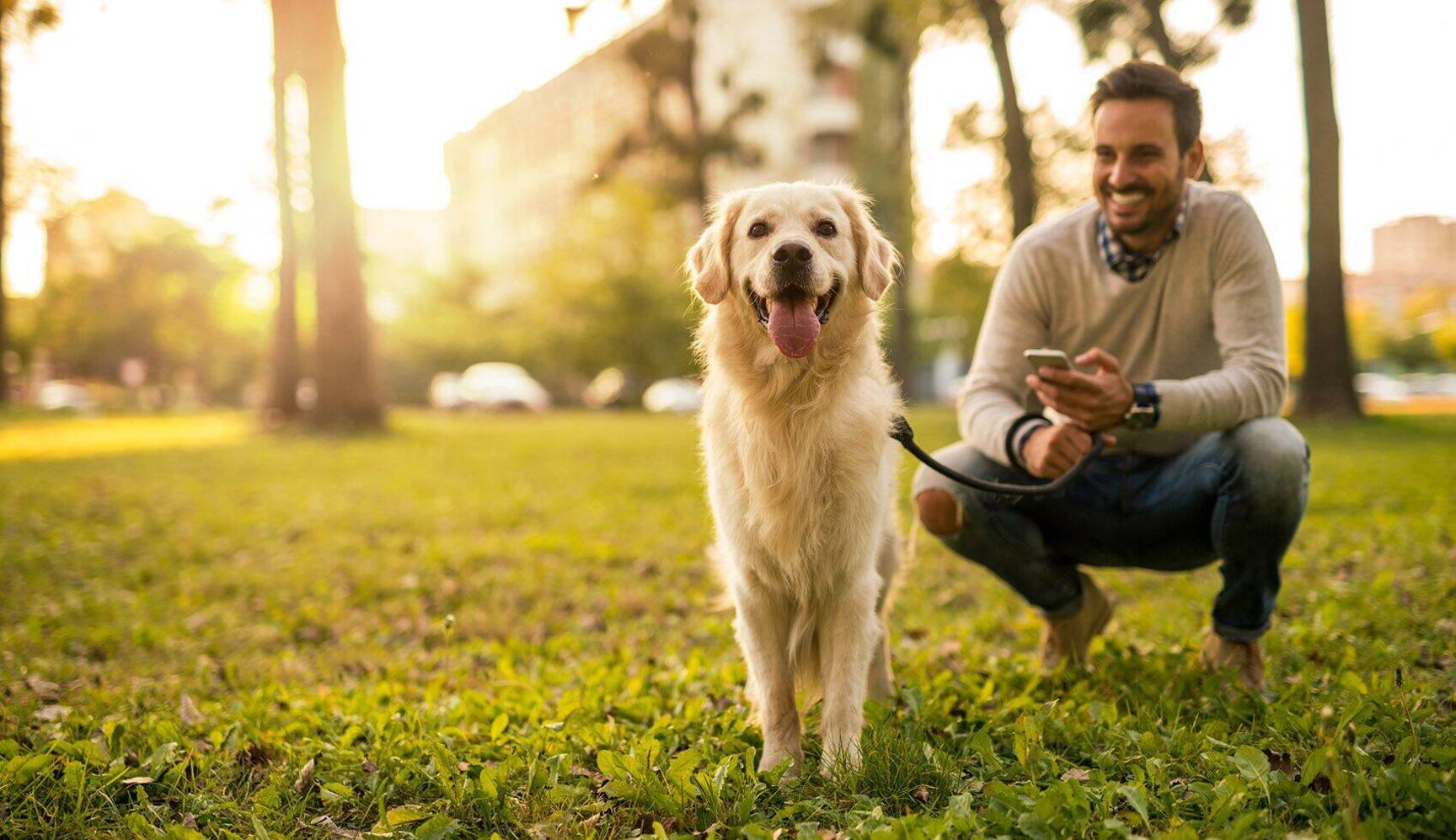 dog friendly