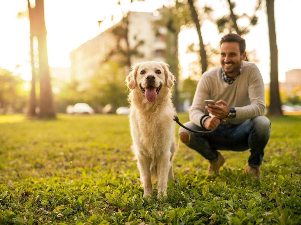 dog friendly