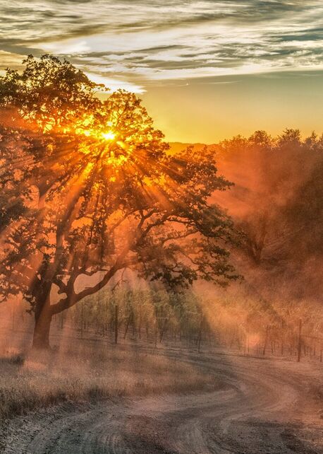 Healdsburg