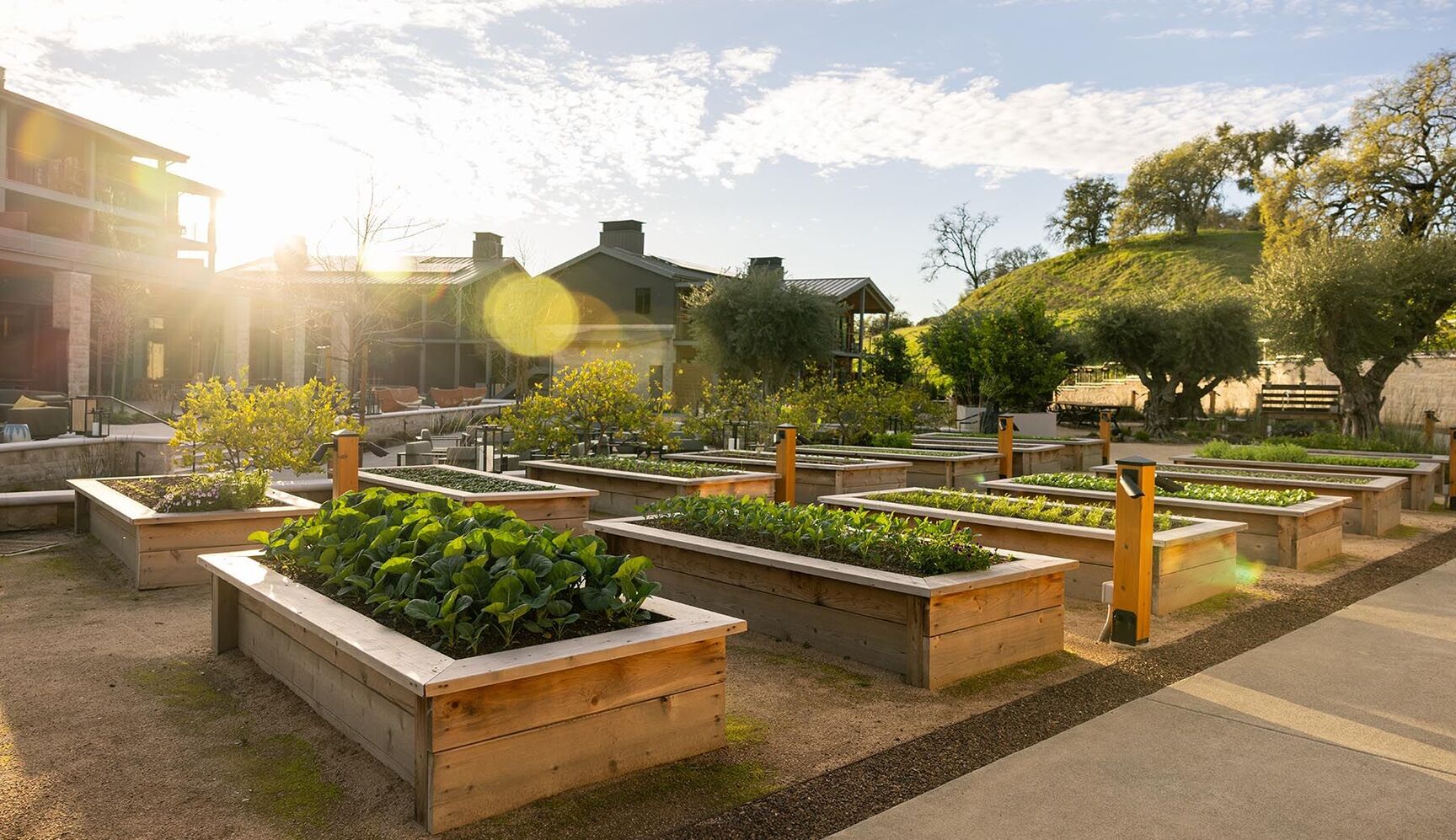 appellation healdsburg best hotel in the country