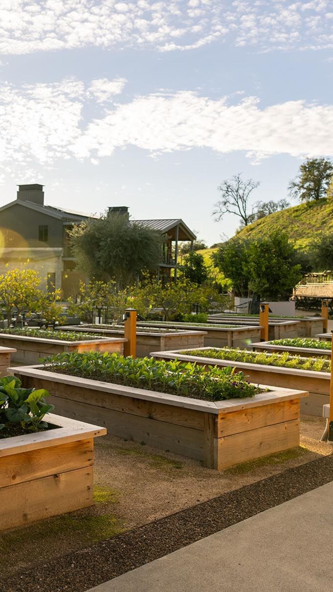 appellation healdsburg best hotel in the country