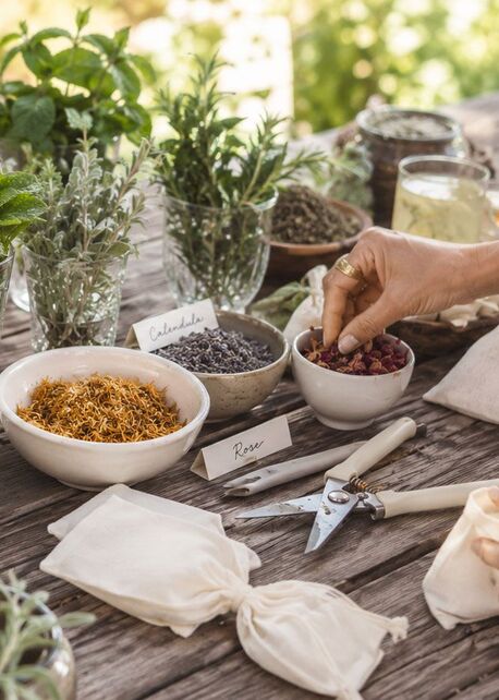 sensory apothecary class healdsburg