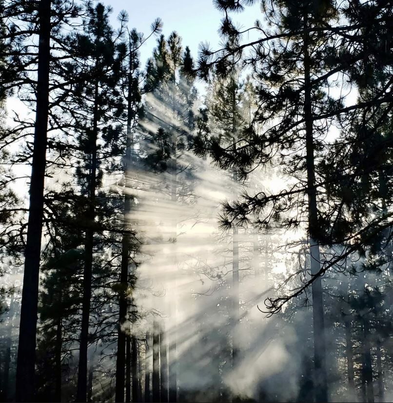 sonoma county art photography