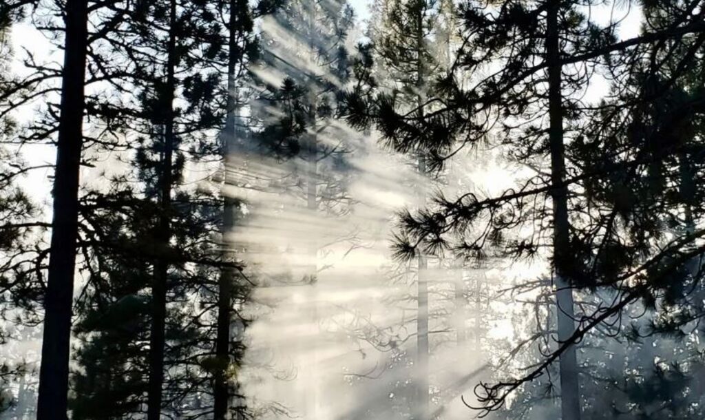 sonoma county art photography