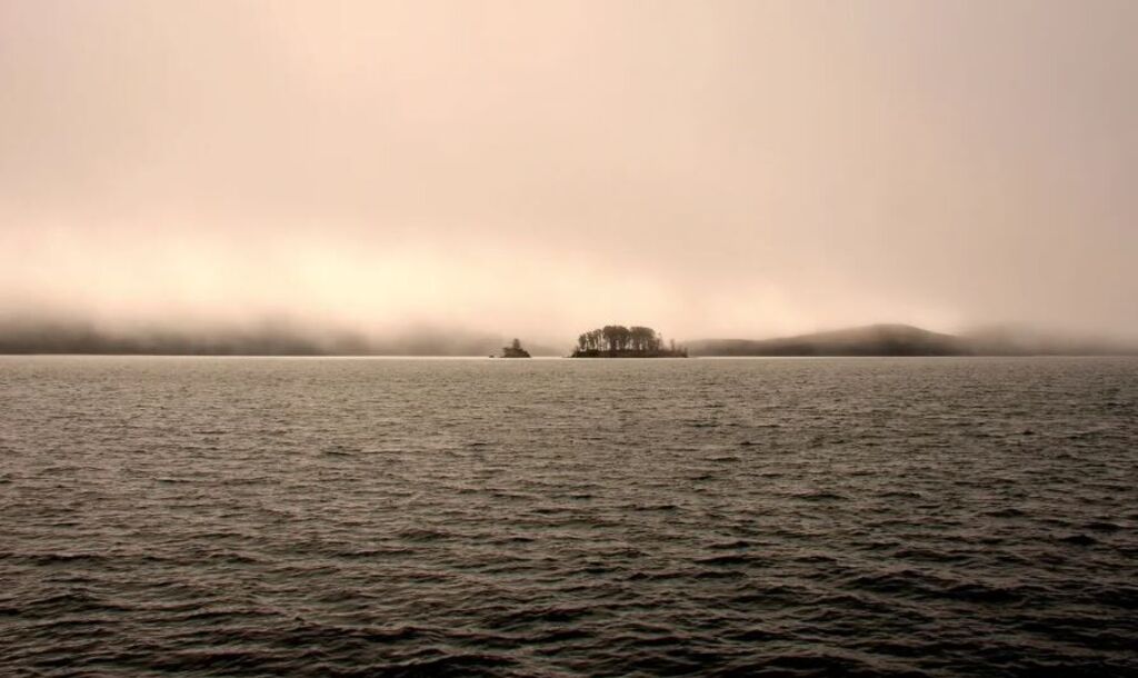 art alexis greenberg