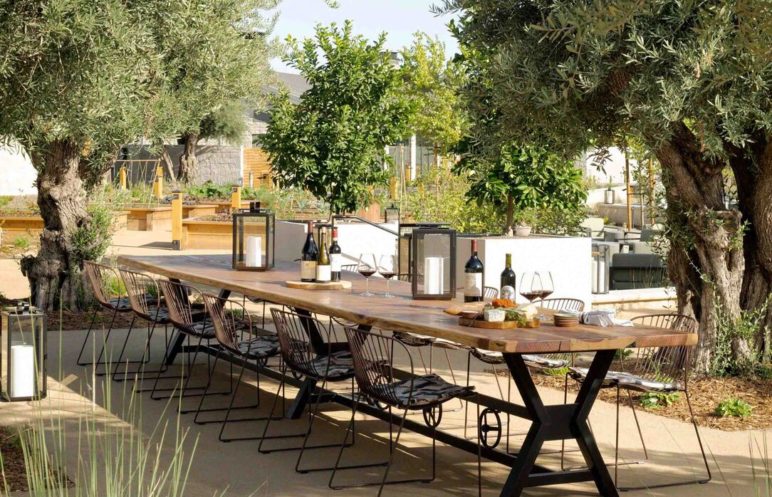 Olive Grove appellation healdsburg