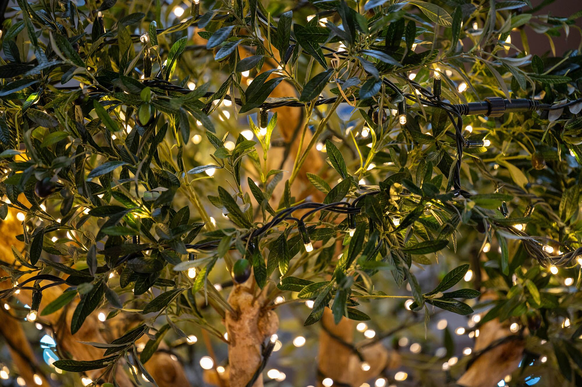 holidays in healdsburg ca