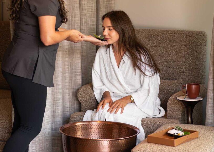 Terroir to Nourish the Body, Mind and Soul