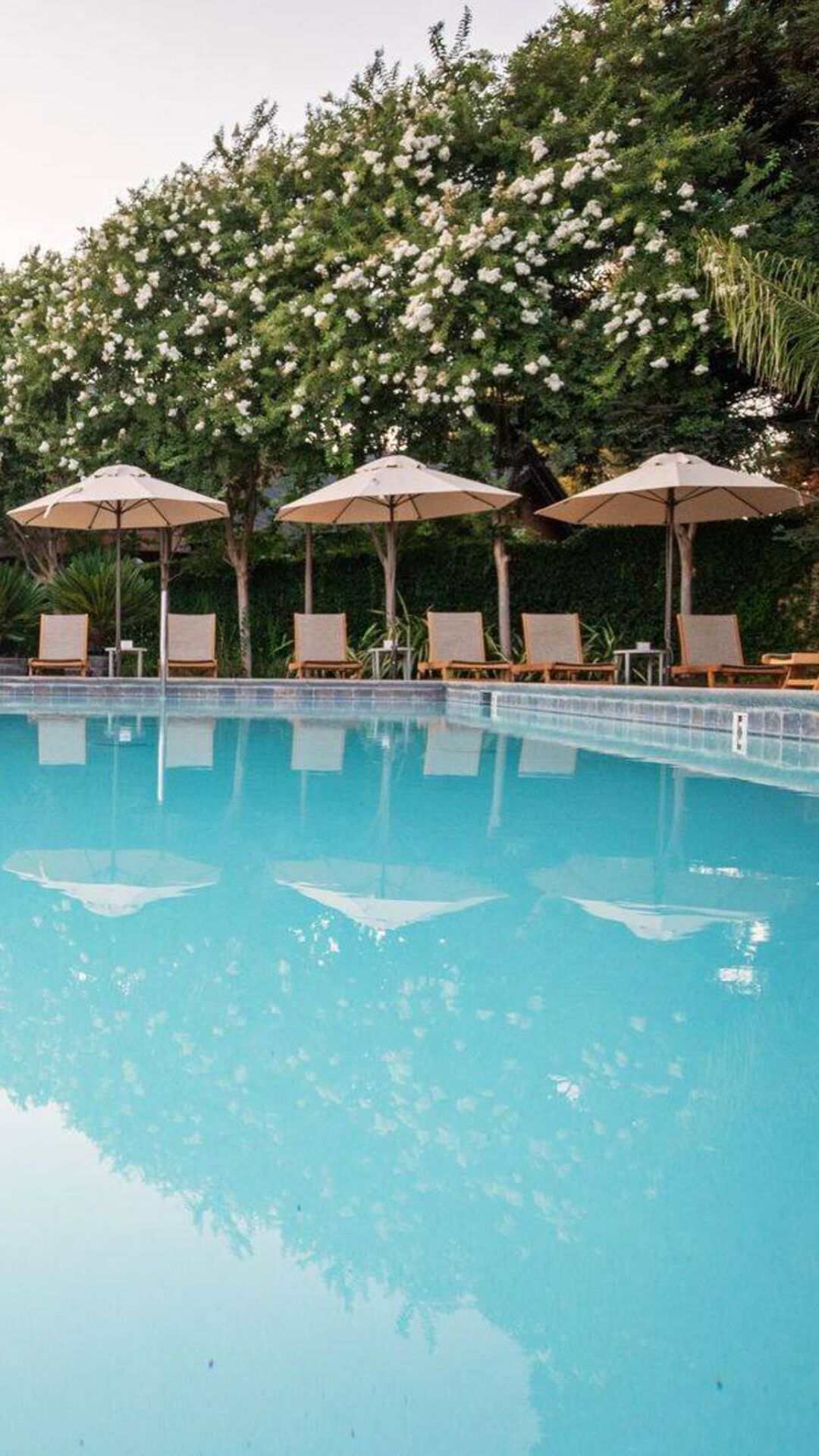The outdoor pool at Appellation Lodi - Wine & Roses Resort and Spa in Lodi wine country