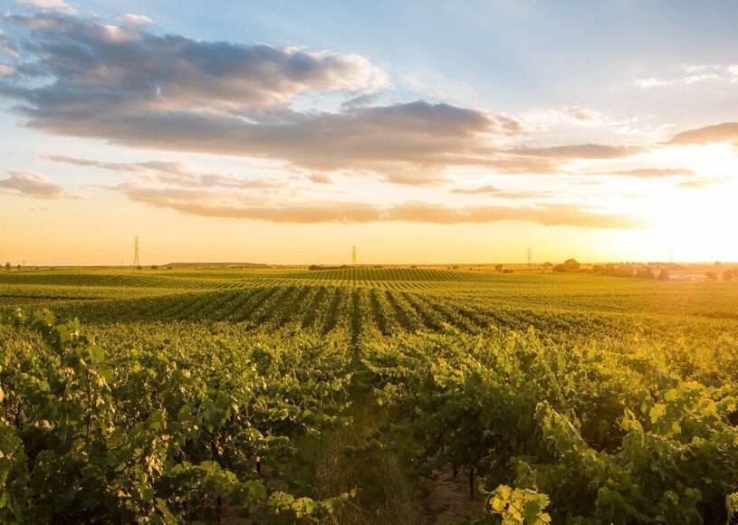 Escape to California's Largest Wine Country