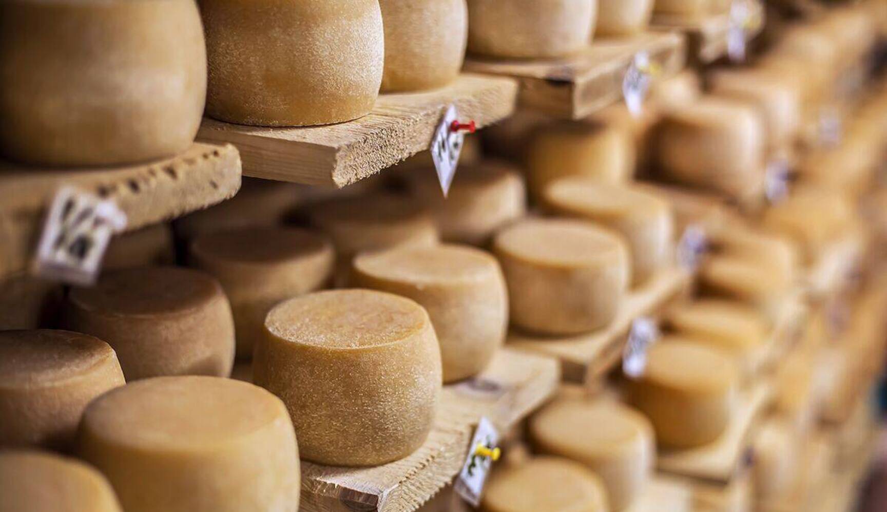 Charlie Palmer wheels of aging artisan cheese in a cellar near Appellation Petaluma in Sonoma County wine country