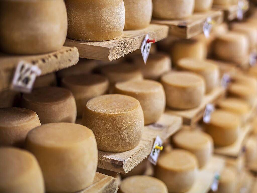 Charlie Palmer wheels of aging artisan cheese in a cellar near Appellation Petaluma in Sonoma County wine country