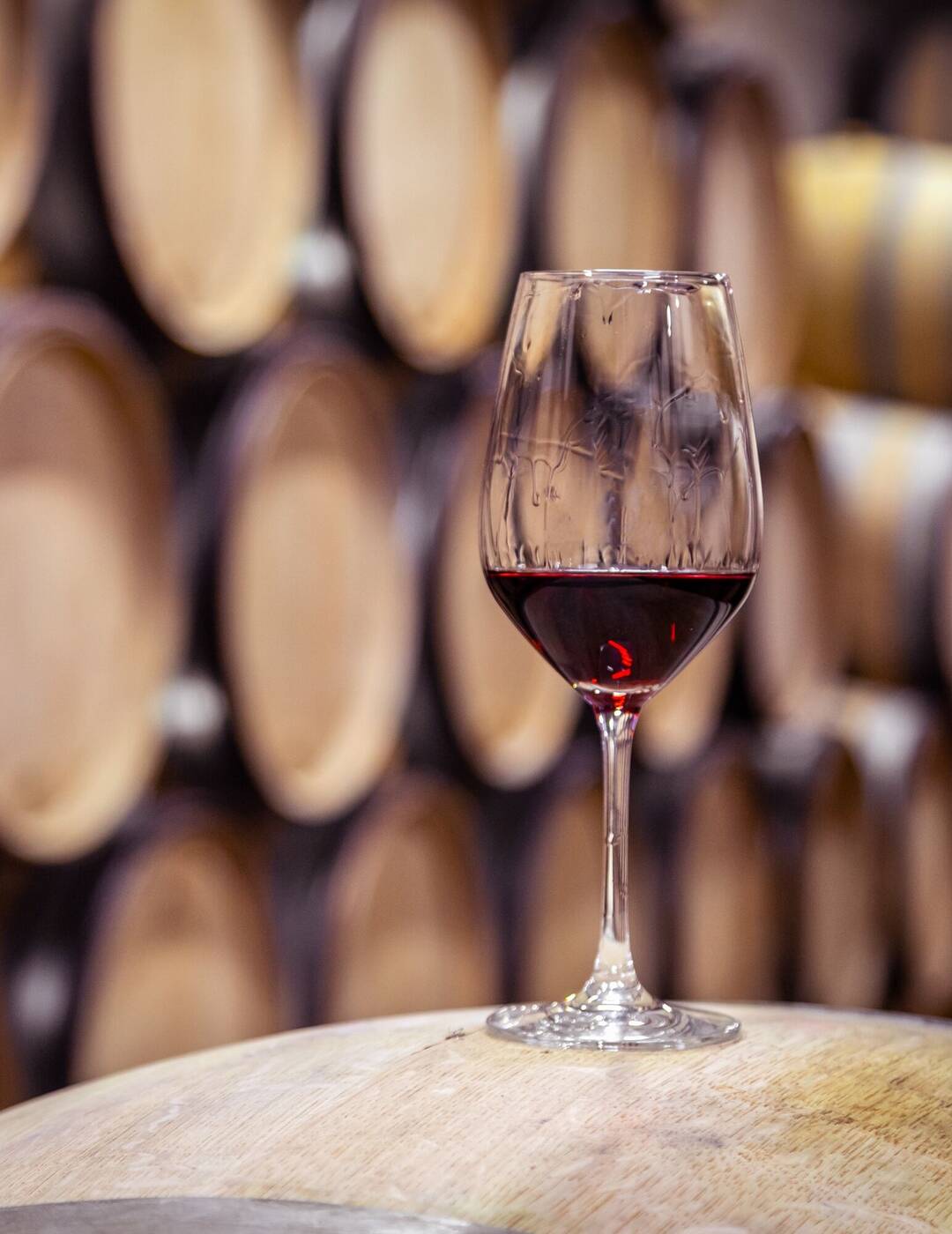 Charlie Palmer glass of red wine before barrel-aging cellar near Appellation Petaluma in Sonoma County wine country