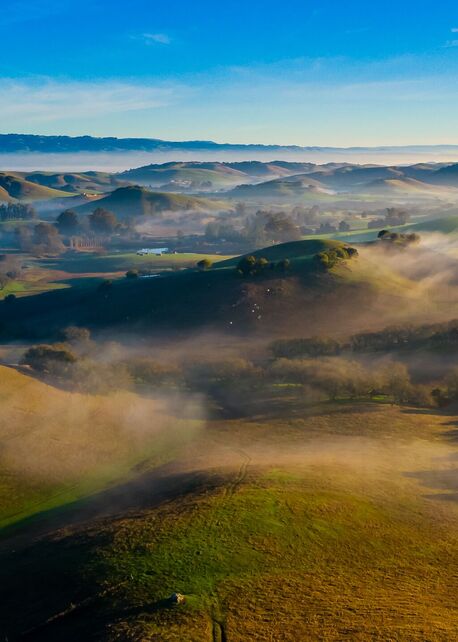 Petaluma