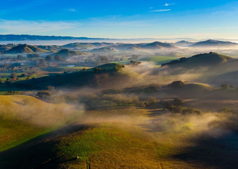 Misty morning over the rolling hills of Sonoma County wine country near Appellation Petaluma